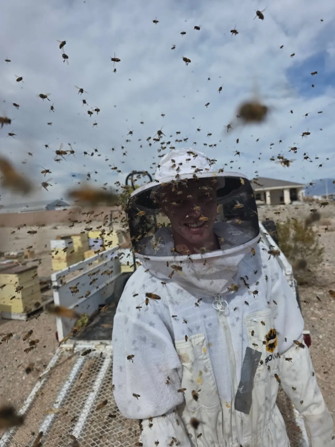 A beekeeper in a white suit surrounded by honeybees in flight, with hives in the background