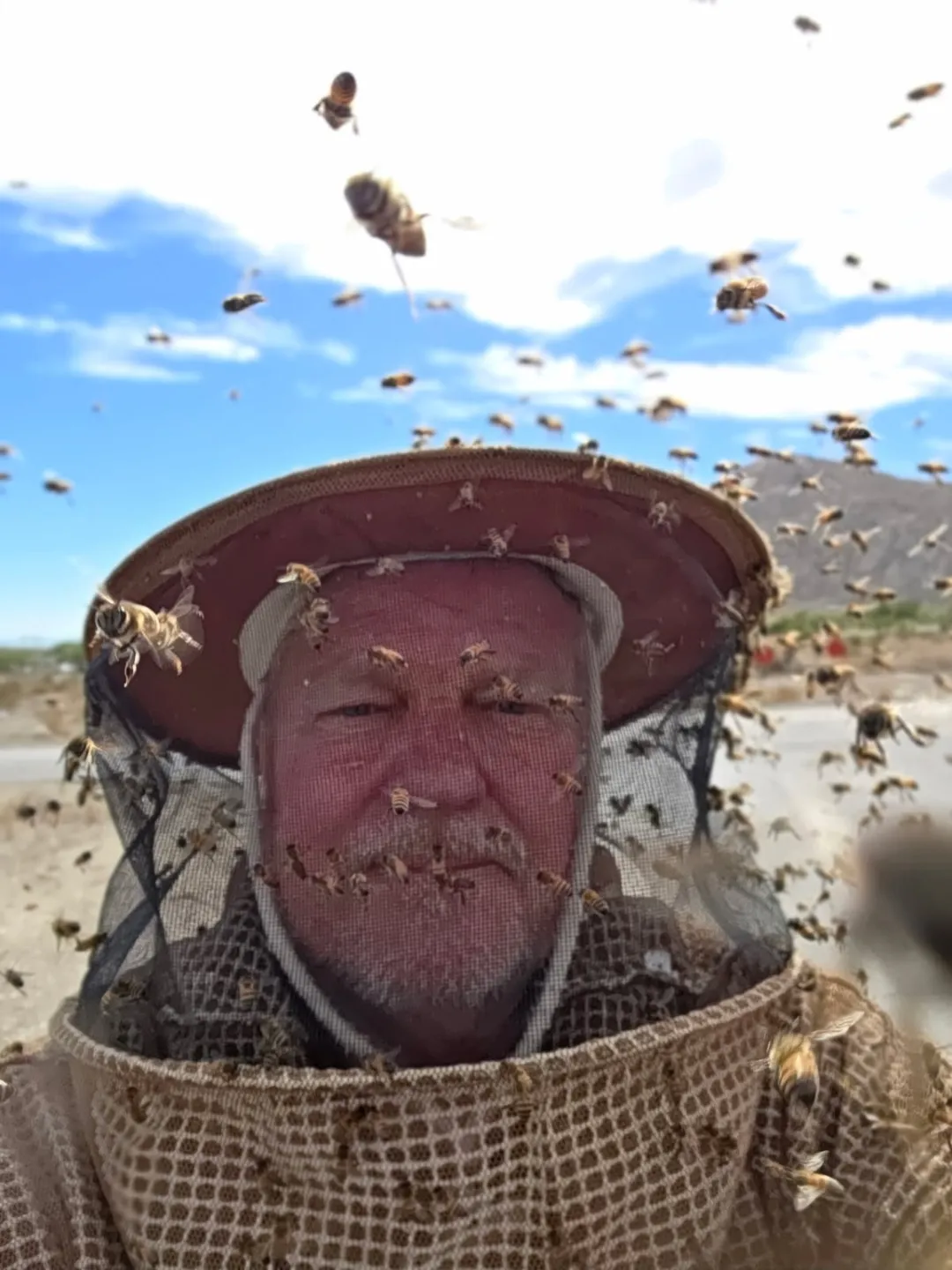 Close-up of a beekeeper in a mesh veil, with honeybees crawling on the veil and flying nearby